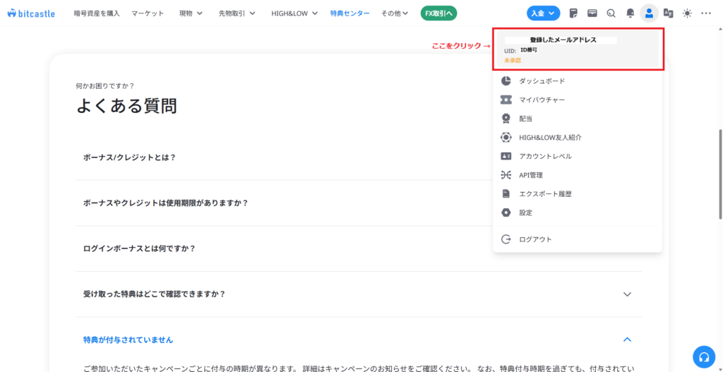 bitcastleの本人確認画面